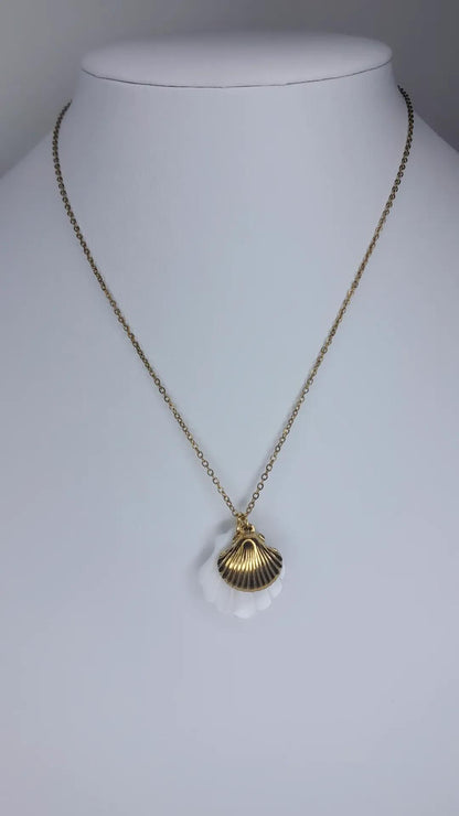 Collier Biscayne