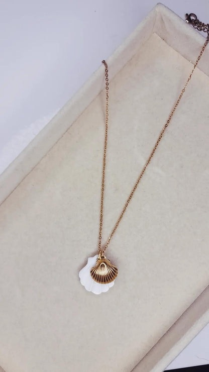 Collier Biscayne