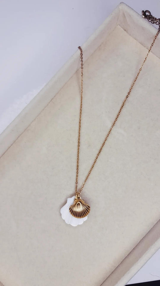 Collier Biscayne
