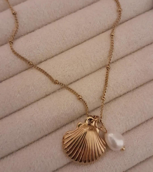 Les colliers Caraïbes